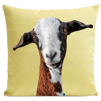 Coussin chèvre campagne polyester 40x40cm / 60x60cm 12