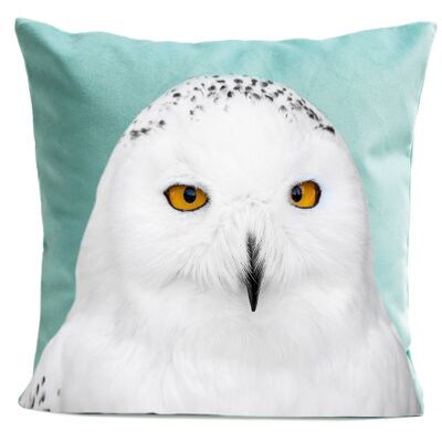 Bird cushion "Harry Potter" style polyester 40x40cm /60x60cm