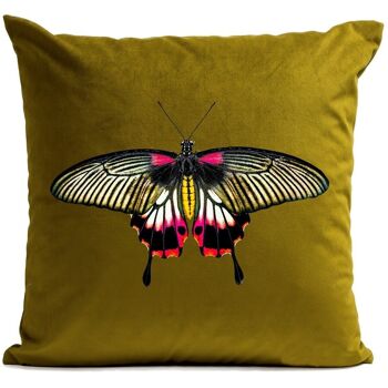 Coussin insecte papillon suédine 40x40cm 60x60cm 1