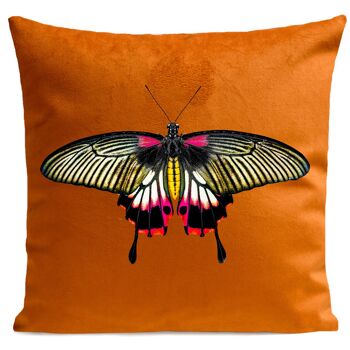 Coussin insecte papillon suédine 40x40cm 60x60cm 4