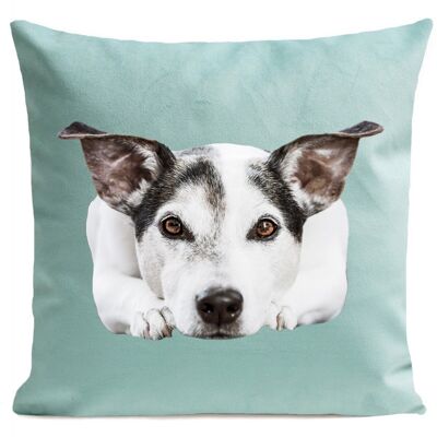 Coussin chien animal suédine 40x40cm/60x60cm