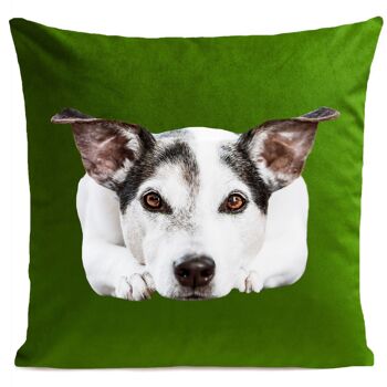 Coussin chien animal suédine 40x40cm/60x60cm 4