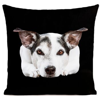 Coussin chien animal suédine 40x40cm/60x60cm 5