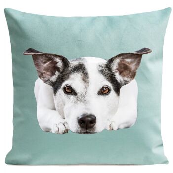 Coussin chien animal suédine 40x40cm/60x60cm 8