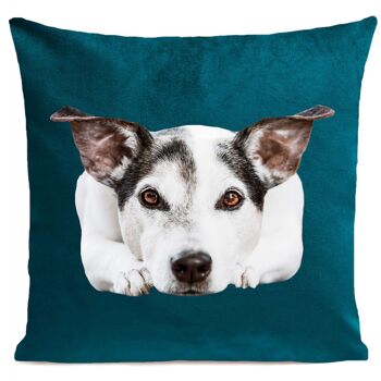 Coussin chien animal suédine 40x40cm/60x60cm 12