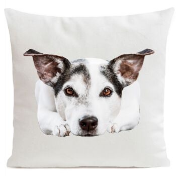 Coussin chien animal suédine 40x40cm/60x60cm 13