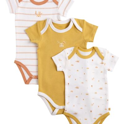 LOT DE 3 BODIES 3 MOIS MANCHES COURTES SUNLIGHT