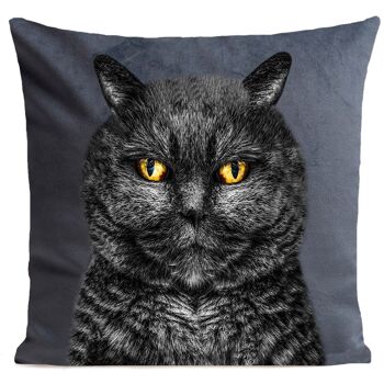 Coussin chat animal suédine 40x40cm/60x60cm 1