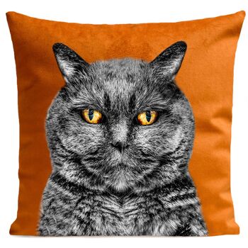 Coussin chat animal suédine 40x40cm/60x60cm 10