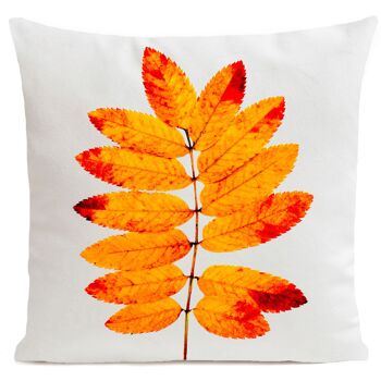 Coussin automne velours 40x40/60x60cm - Orange Leaves 6