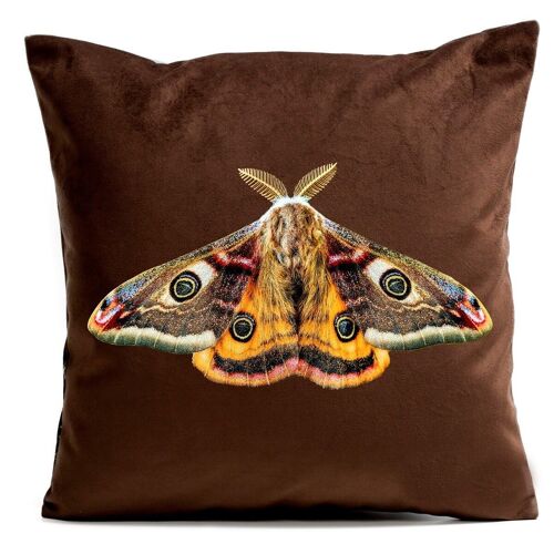 Coussin papillon déco velours - Giant Peacock Moth
