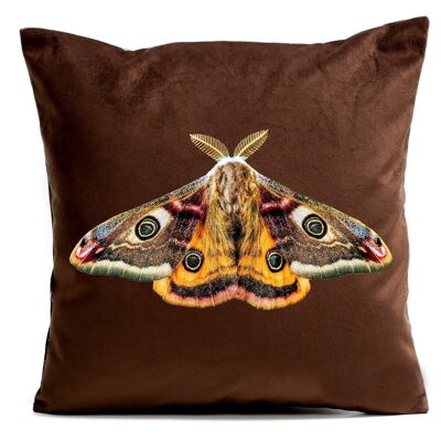 Cojín decorativo de mariposa de terciopelo - Polilla gigante del pavo real