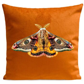 Coussin papillon déco velours - Giant Peacock Moth 4