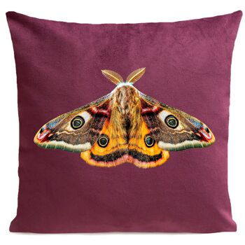 Coussin papillon déco velours - Giant Peacock Moth 5