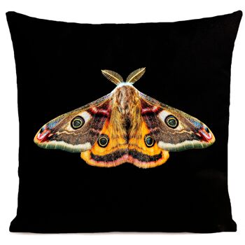 Coussin papillon déco velours - Giant Peacock Moth 6