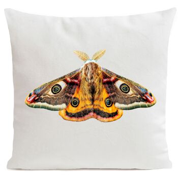Coussin papillon déco velours - Giant Peacock Moth 7