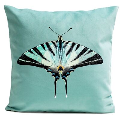 Butterfly Cushion - Zebra Butterfly