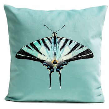 Coussin papillon - Zebra Butterfly 1