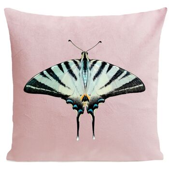 Coussin papillon - Zebra Butterfly 4