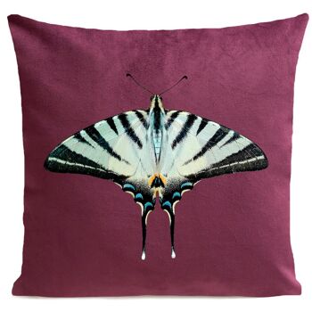 Coussin papillon - Zebra Butterfly 5