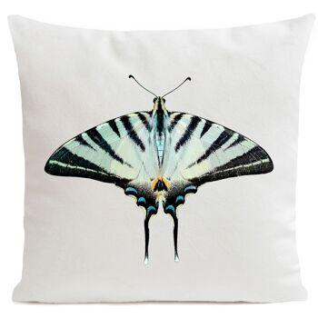 Coussin papillon - Zebra Butterfly 6