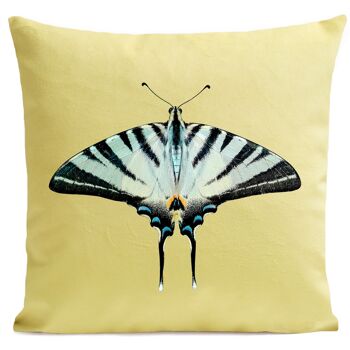 Coussin papillon - Zebra Butterfly 13