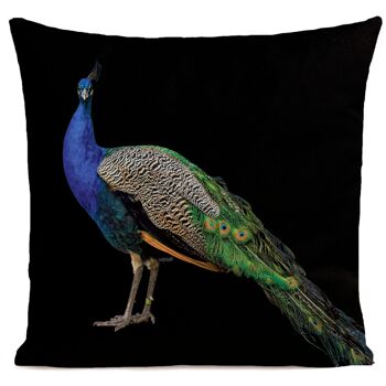 Coussin déco campagne oiseau velours - style campagne, Royal Peacock 4
