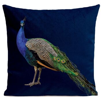 Coussin déco campagne oiseau velours - style campagne, Royal Peacock 5