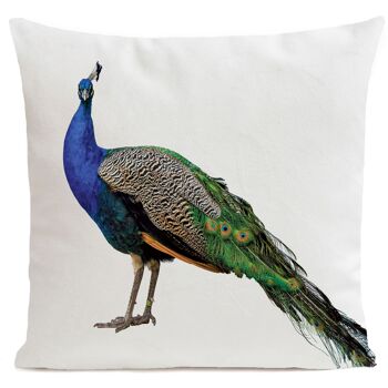 Coussin déco campagne oiseau velours - style campagne, Royal Peacock 6