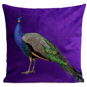 Coussin déco campagne oiseau velours - style campagne, Royal Peacock 7