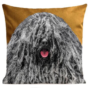 Coussin chien - Bob The Dog 4
