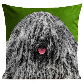 Coussin chien - Bob The Dog 5