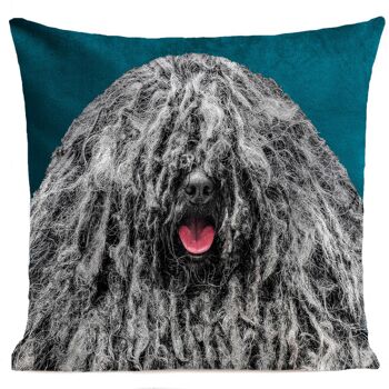 Coussin chien - Bob The Dog 6