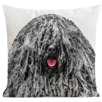 Coussin chien - Bob The Dog 7