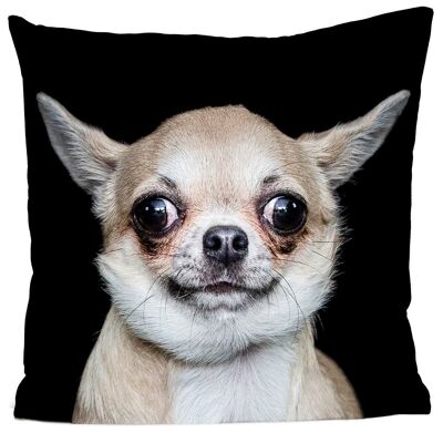 Dog Cushion - Joshua The Chihuahua