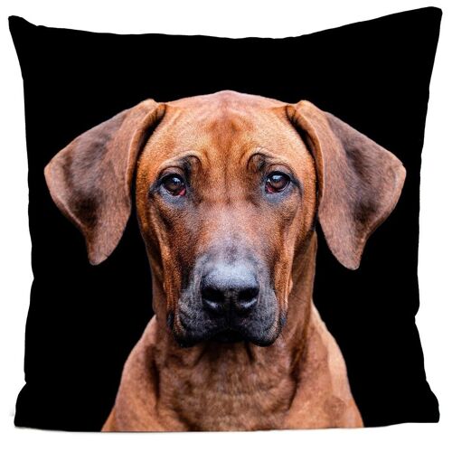 Coussin chien - Vivian La Rhodesian