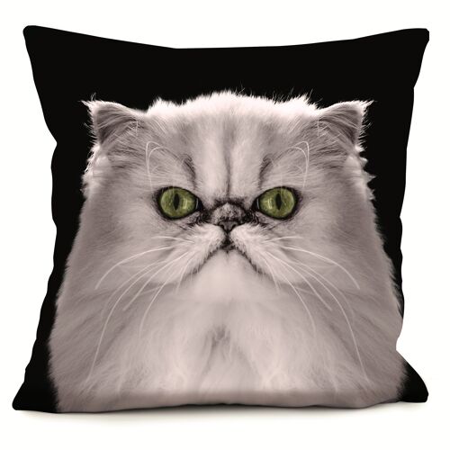 Coussin chat - Molly