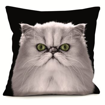 Coussin chat - Molly 1
