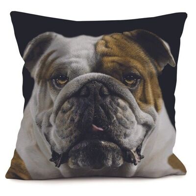 Dog cushion - Diabolo
