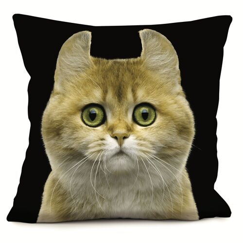 Coussin chat - Chipie