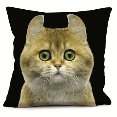 Cat cushion - Chipie