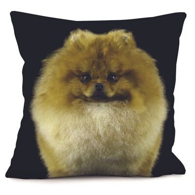 Coussin chien - Spitz Boule