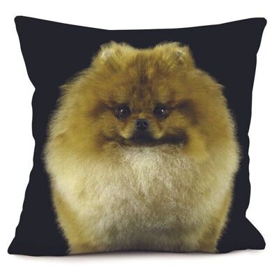 Dog cushion - Spitz Boule