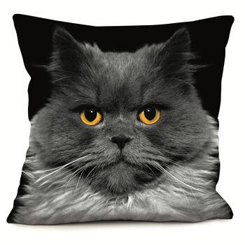 Coussin chat - Léo 1