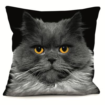 Coussin chat - Léo