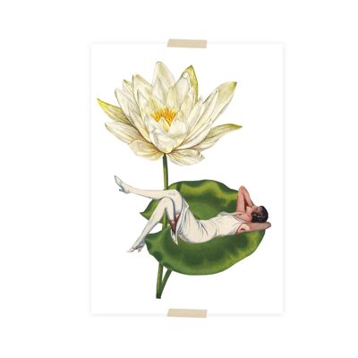 Postcard collage little lady little lady lying on water lily
