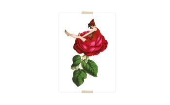 Collage de cartes postales petite dame assise sur une rose 1