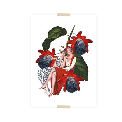 Collage de postales damas sobre flor de la pasión