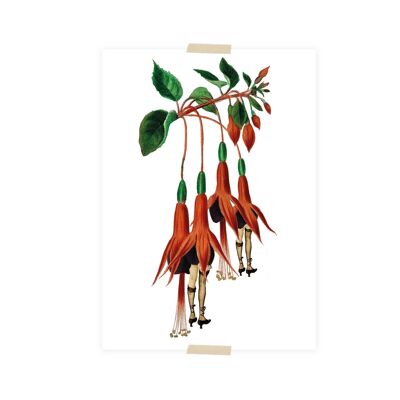 Postkartencollage Fuchsia mit Beinen