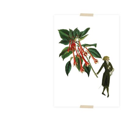 Collage de carte postale homme avec fuchsia